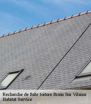 Recherche de fuite toiture