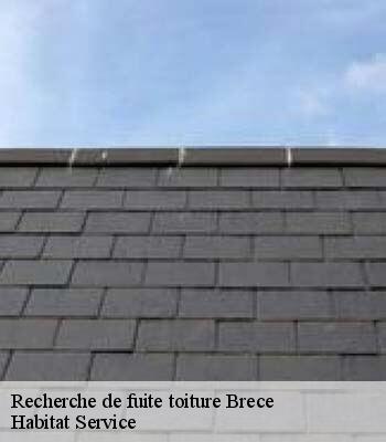 Recherche de fuite toiture