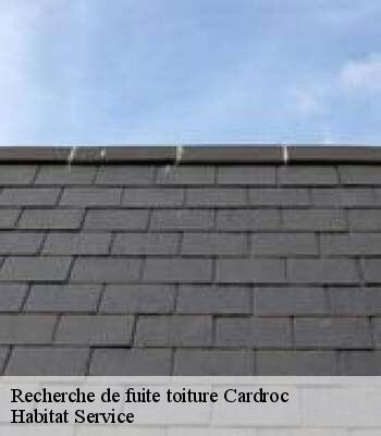 Recherche de fuite toiture