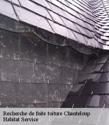 Recherche de fuite toiture