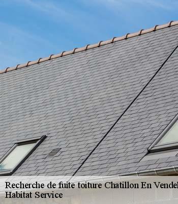 Recherche de fuite toiture