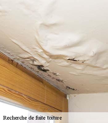 Recherche de fuite toiture