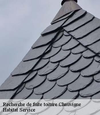 Recherche de fuite toiture