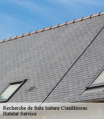 Recherche de fuite toiture