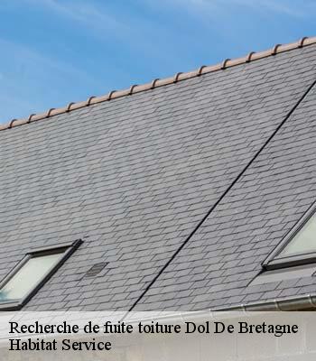 Recherche de fuite toiture
