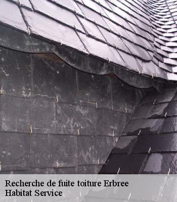Recherche de fuite toiture
