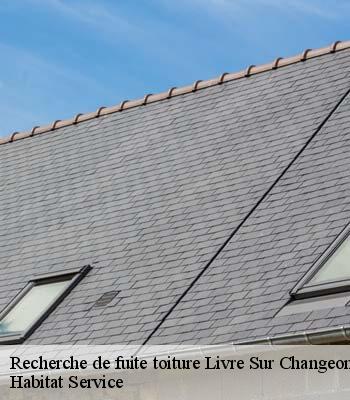Recherche de fuite toiture