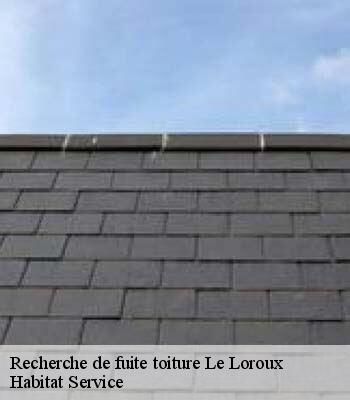 Recherche de fuite toiture
