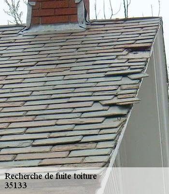 Recherche de fuite toiture