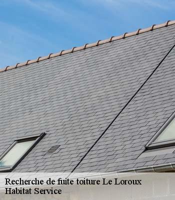 Recherche de fuite toiture