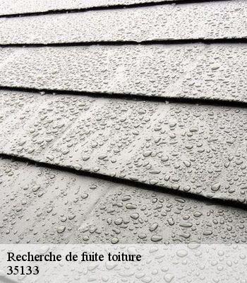 Recherche de fuite toiture