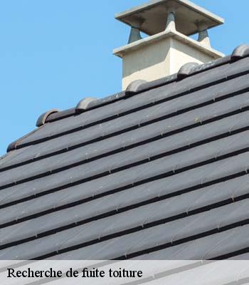Recherche de fuite toiture