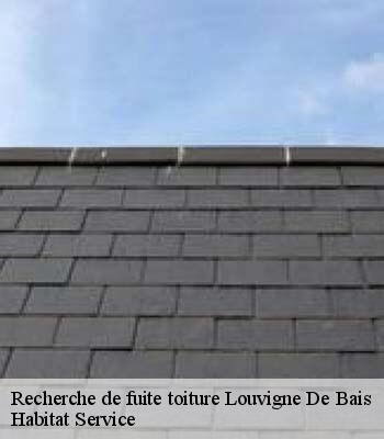 Recherche de fuite toiture