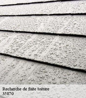 Recherche de fuite toiture