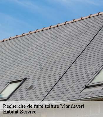Recherche de fuite toiture