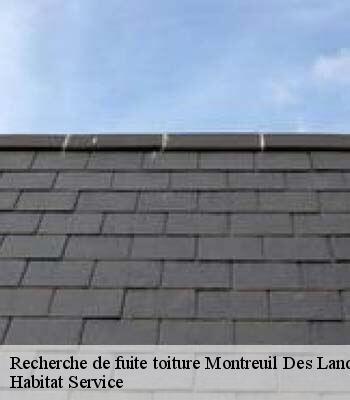 Recherche de fuite toiture