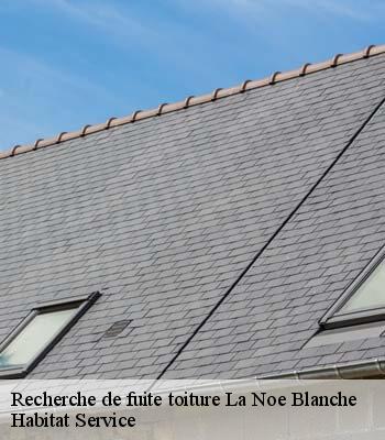 Recherche de fuite toiture