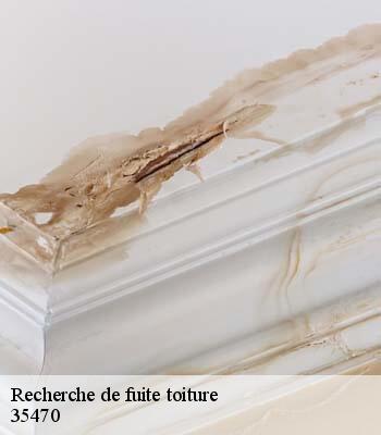 Recherche de fuite toiture