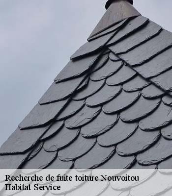 Recherche de fuite toiture