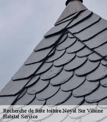 Recherche de fuite toiture