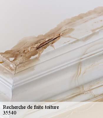 Recherche de fuite toiture