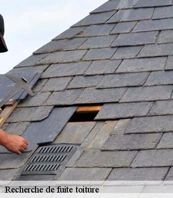 Recherche de fuite toiture