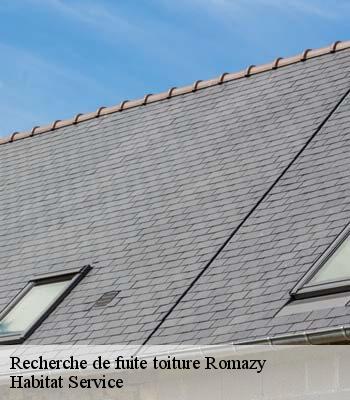 Recherche de fuite toiture
