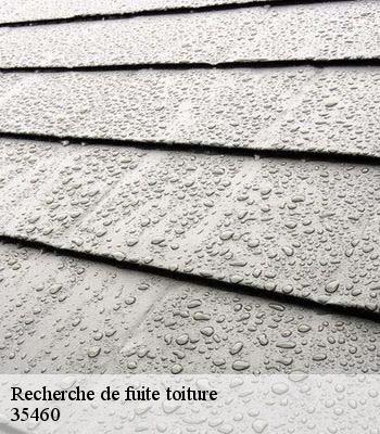 Recherche de fuite toiture