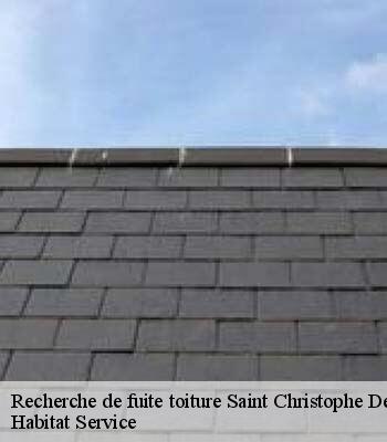 Recherche de fuite toiture