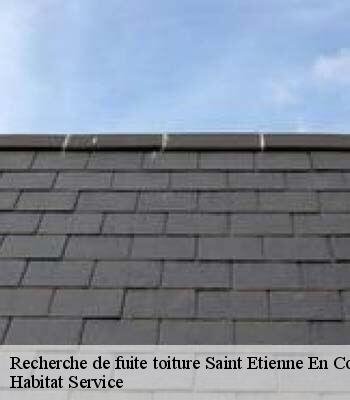 Recherche de fuite toiture