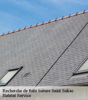 Recherche de fuite toiture