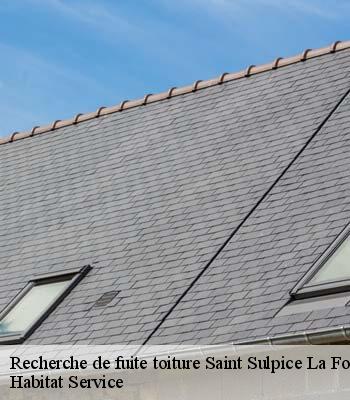 Recherche de fuite toiture
