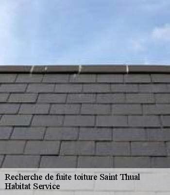 Recherche de fuite toiture