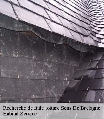 Recherche de fuite toiture