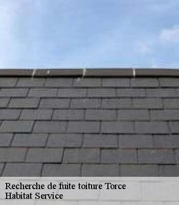 Recherche de fuite toiture
