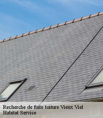 Recherche de fuite toiture