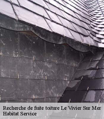 Recherche de fuite toiture