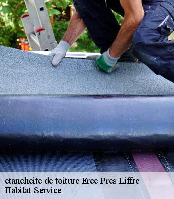 etancheite de toiture