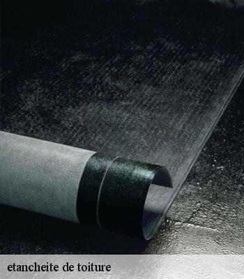 etancheite de toiture