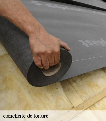 etancheite de toiture