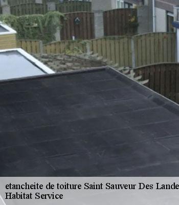 etancheite de toiture