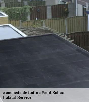 etancheite de toiture
