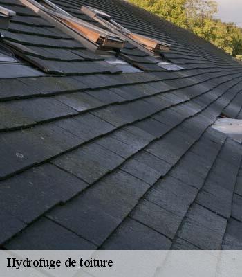 Hydrofuge de toiture