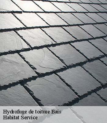 Hydrofuge de toiture