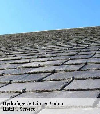 Hydrofuge de toiture