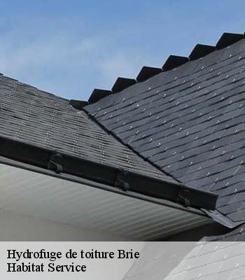 Hydrofuge de toiture