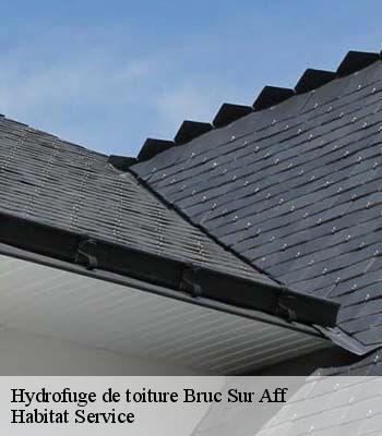 Hydrofuge de toiture