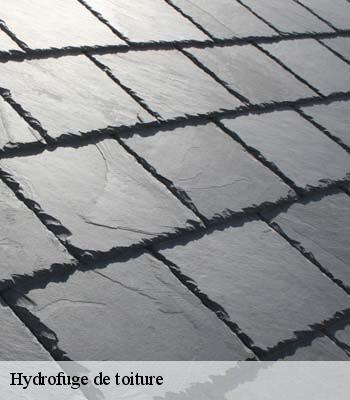 Hydrofuge de toiture