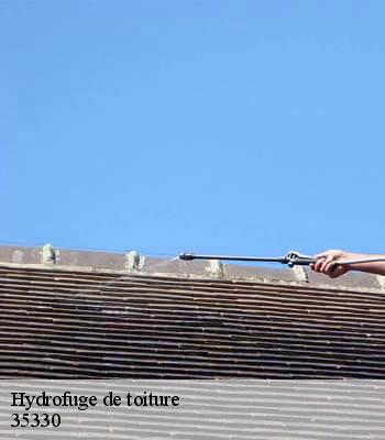 Hydrofuge de toiture
