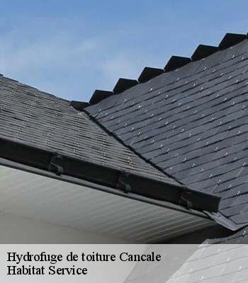 Hydrofuge de toiture